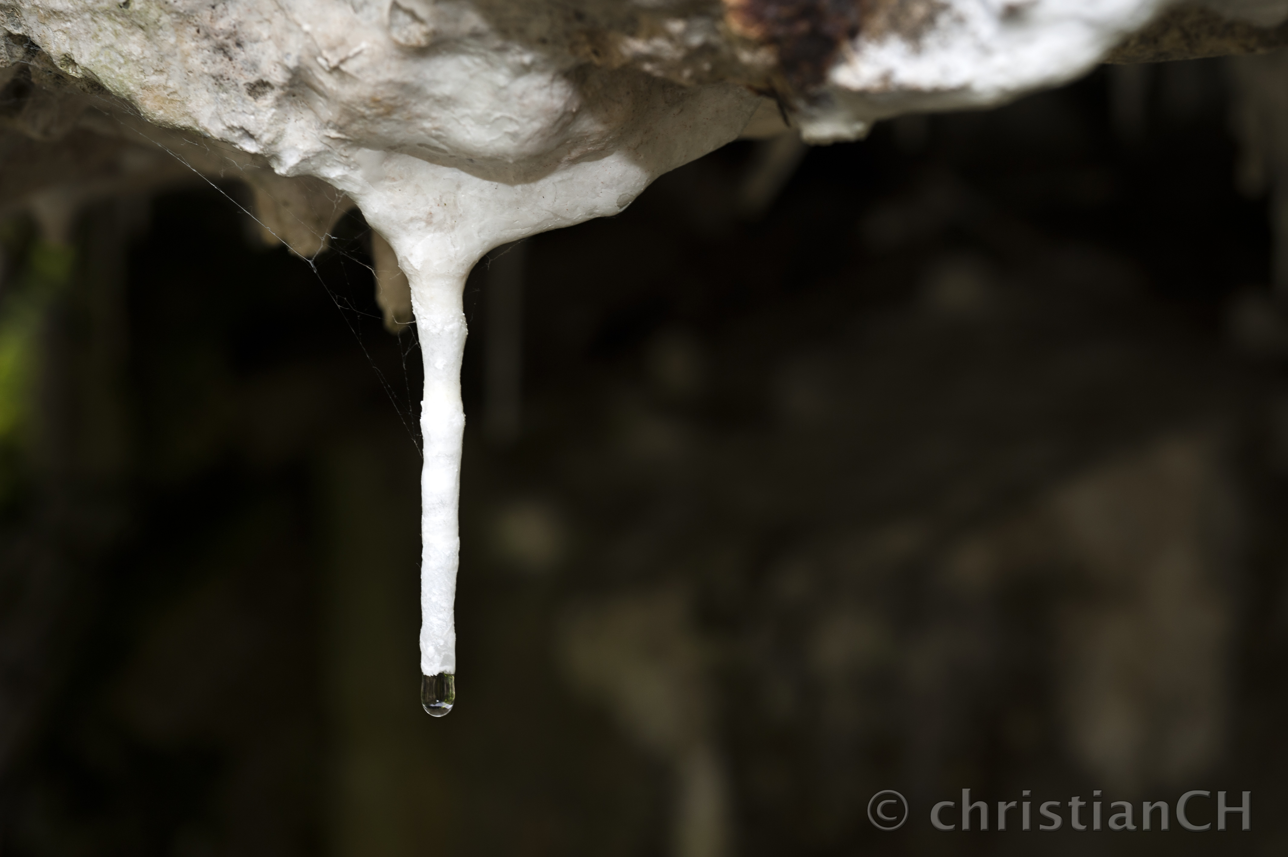 Mimoyecques, Aussenbereich