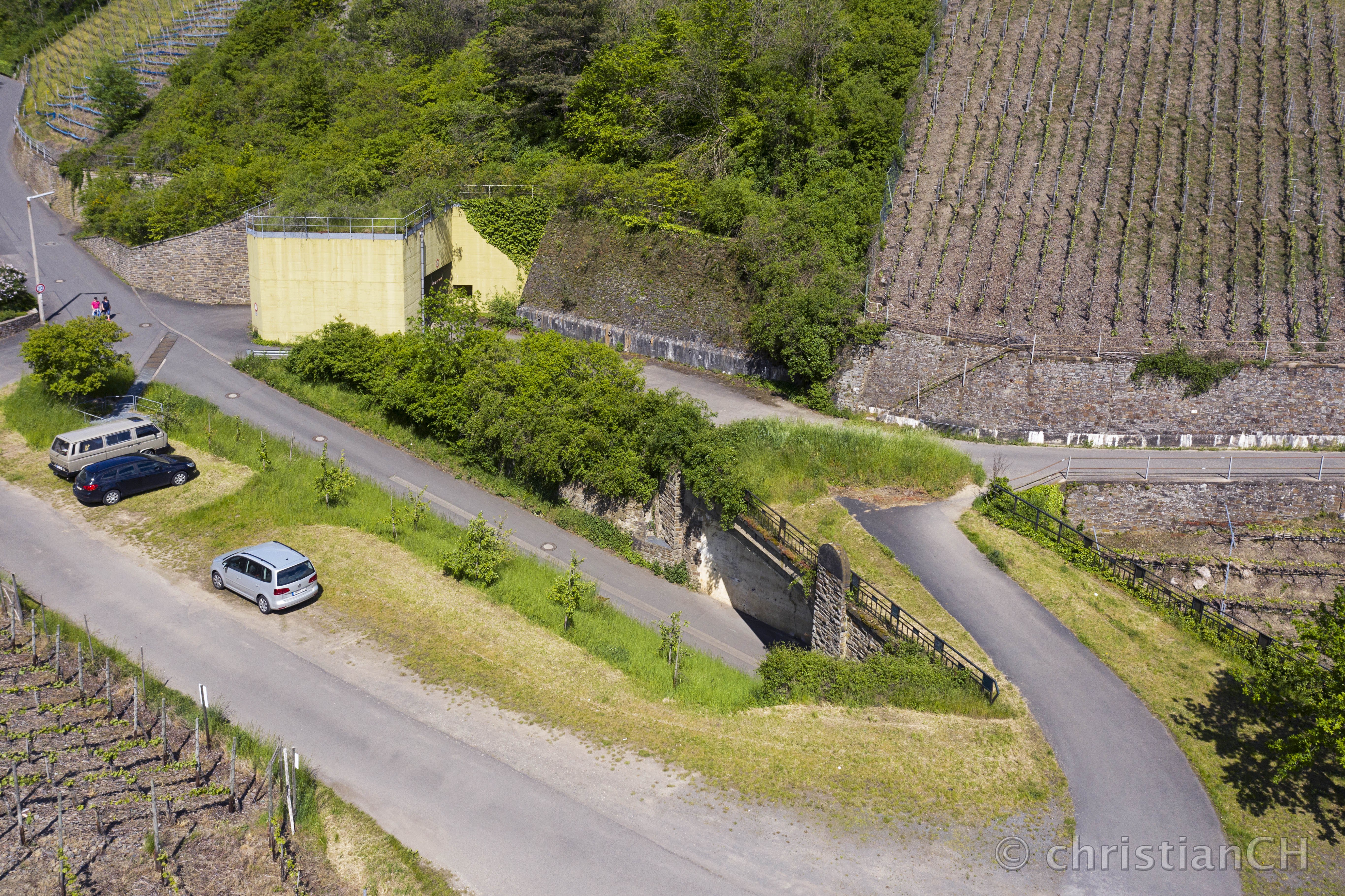 U-Verlagerung Rebstock