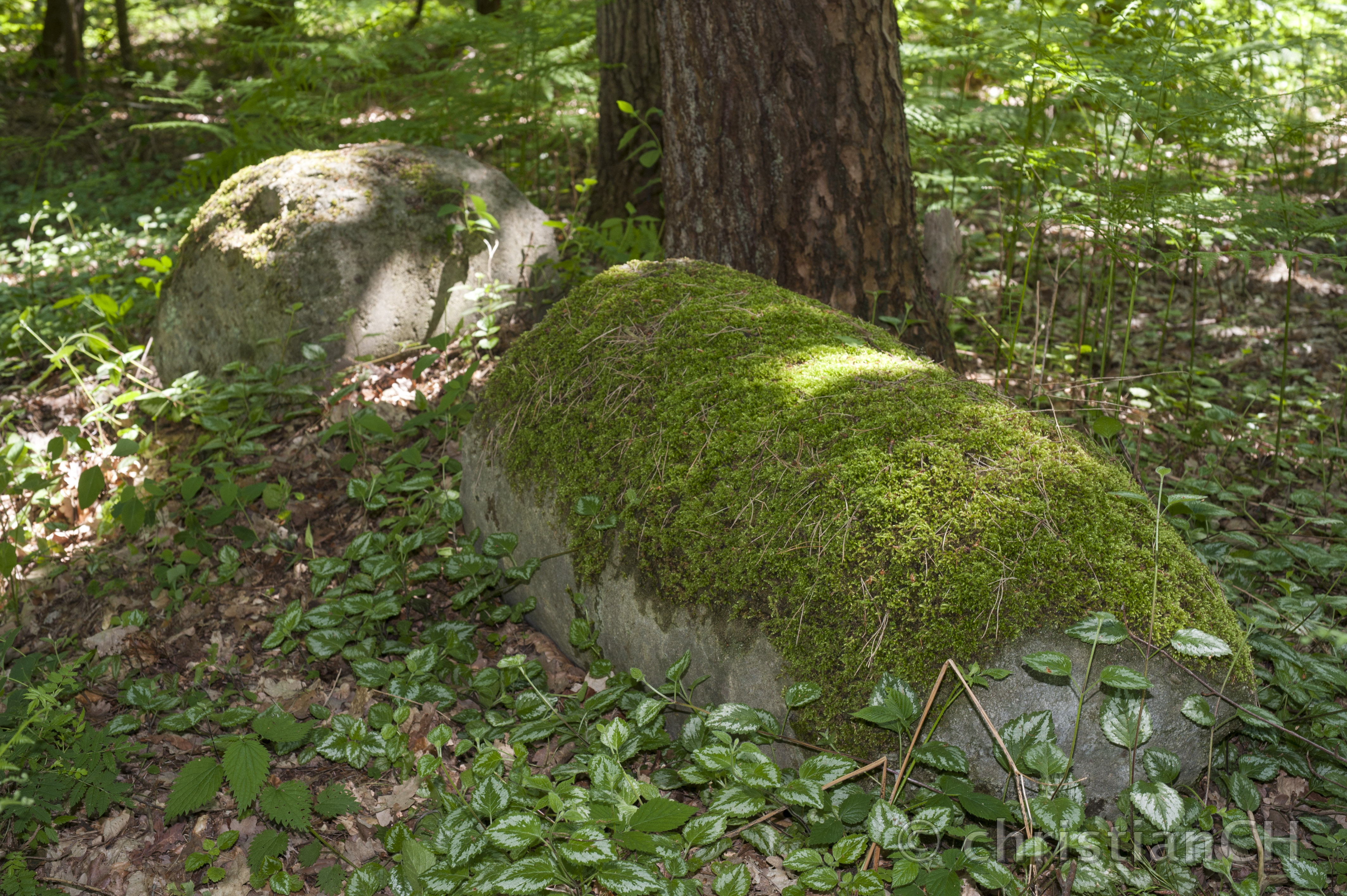 V1-Katapulte, Altenwalde Aussenstelle Im Stüh