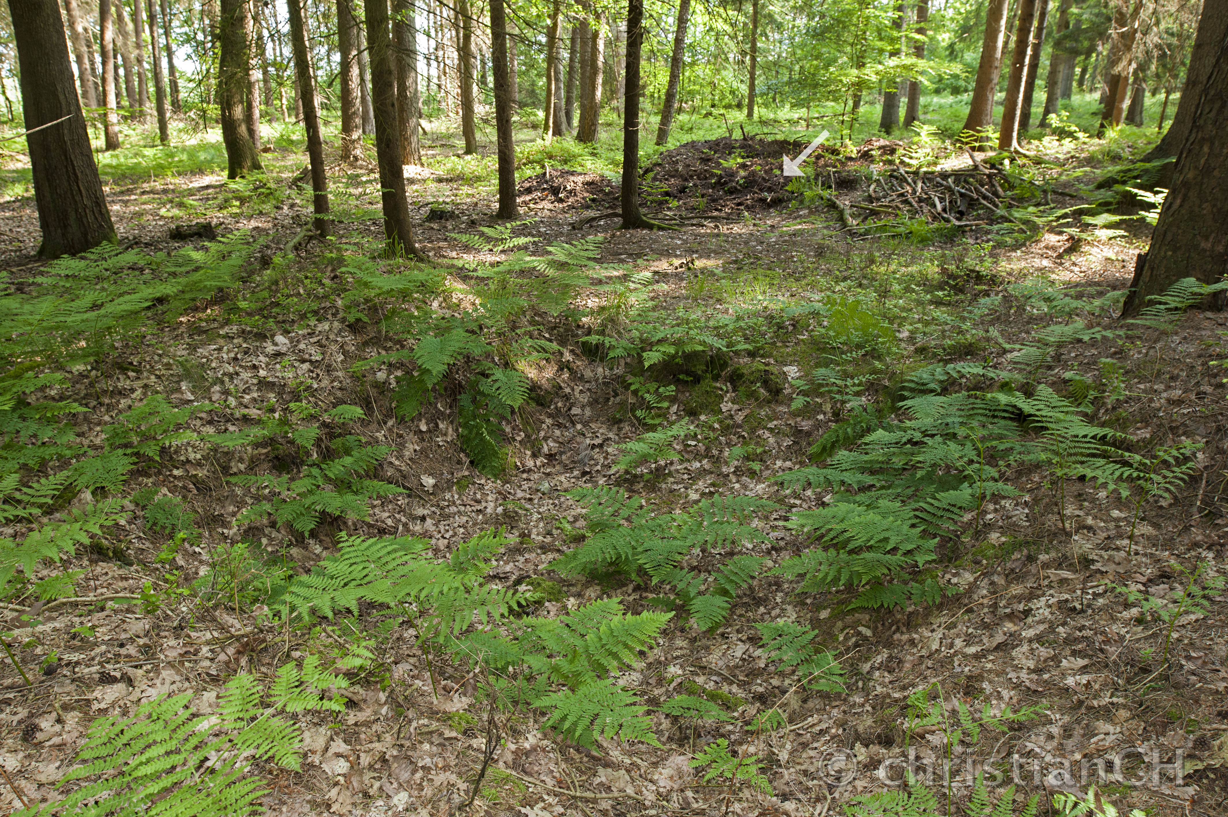 V1-Katapulte, Altenwalde Aussenstelle Im Stüh