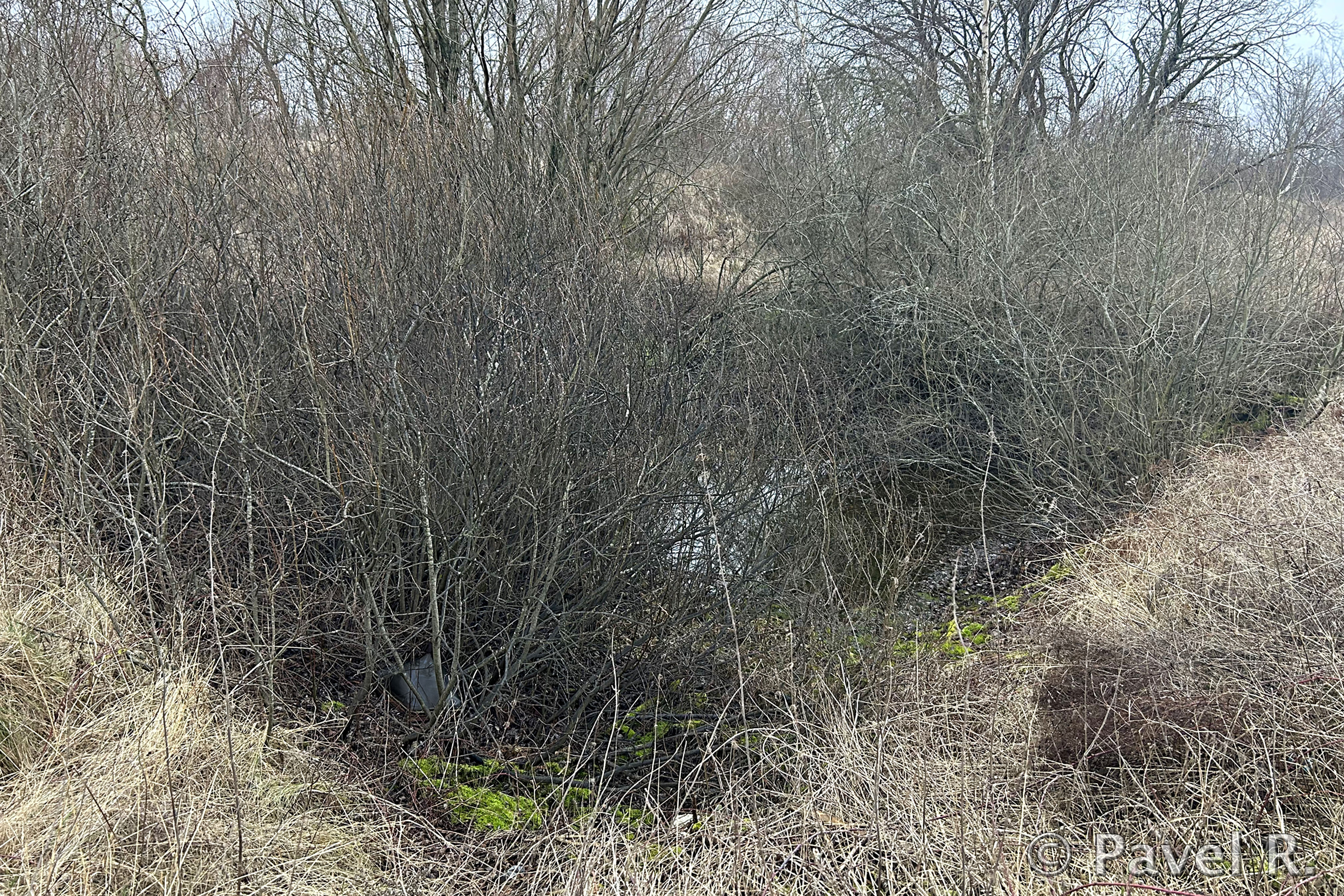 V1-Feldstellungen, Brüsterort