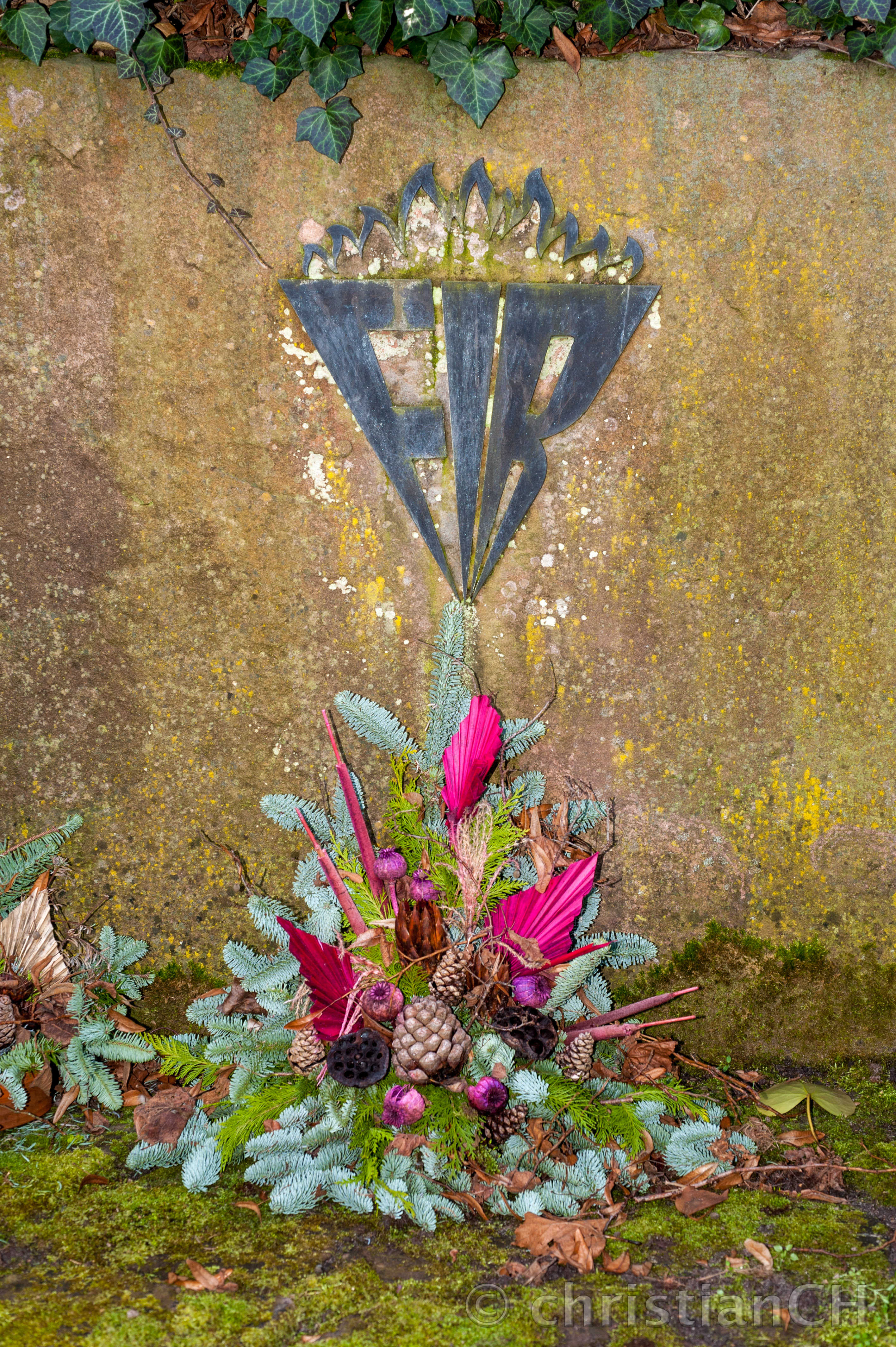 Bauvorhaben «Bulldogge» und «Iltis»