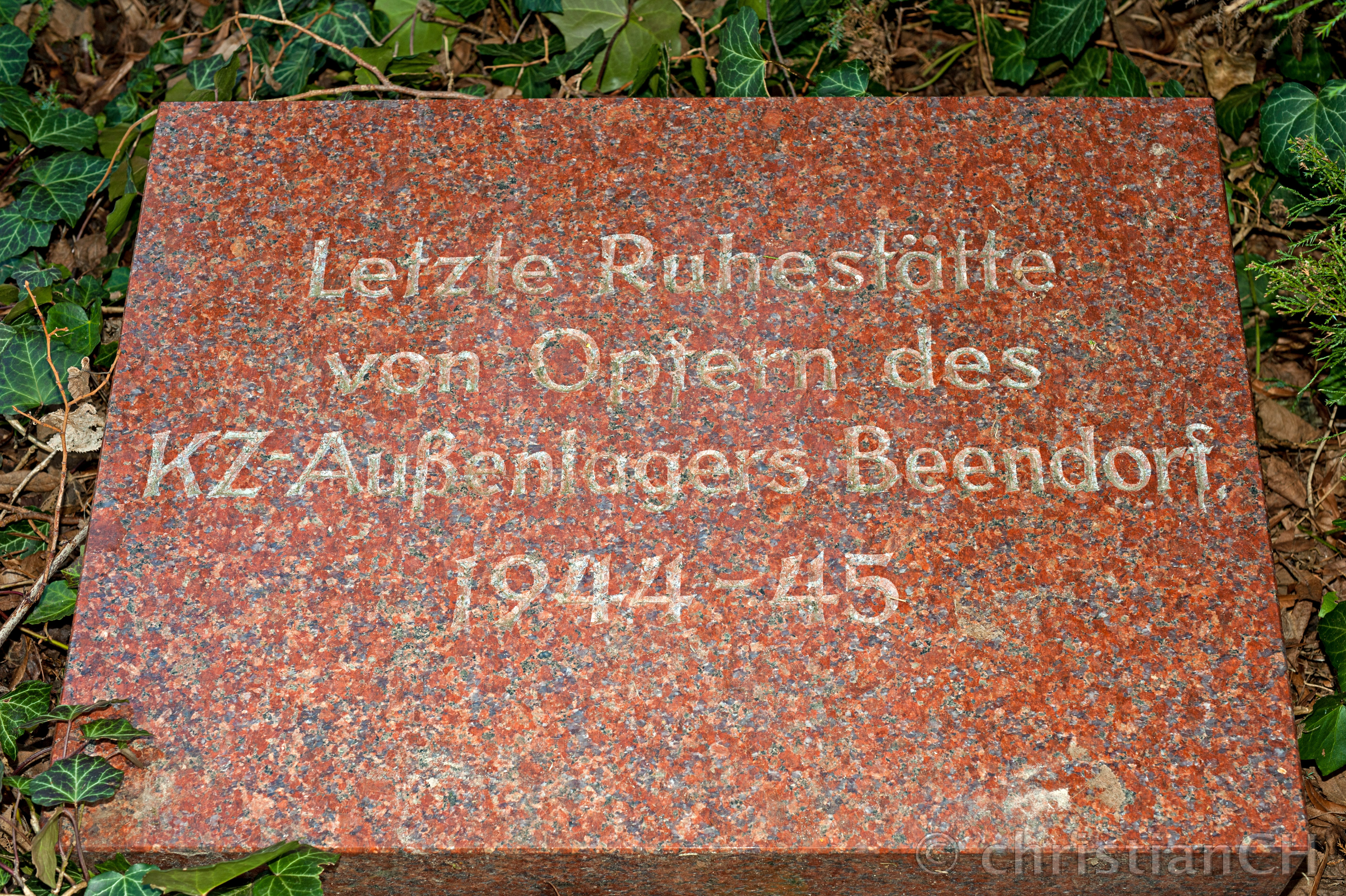 Bauvorhaben «Bulldogge» und «Iltis»