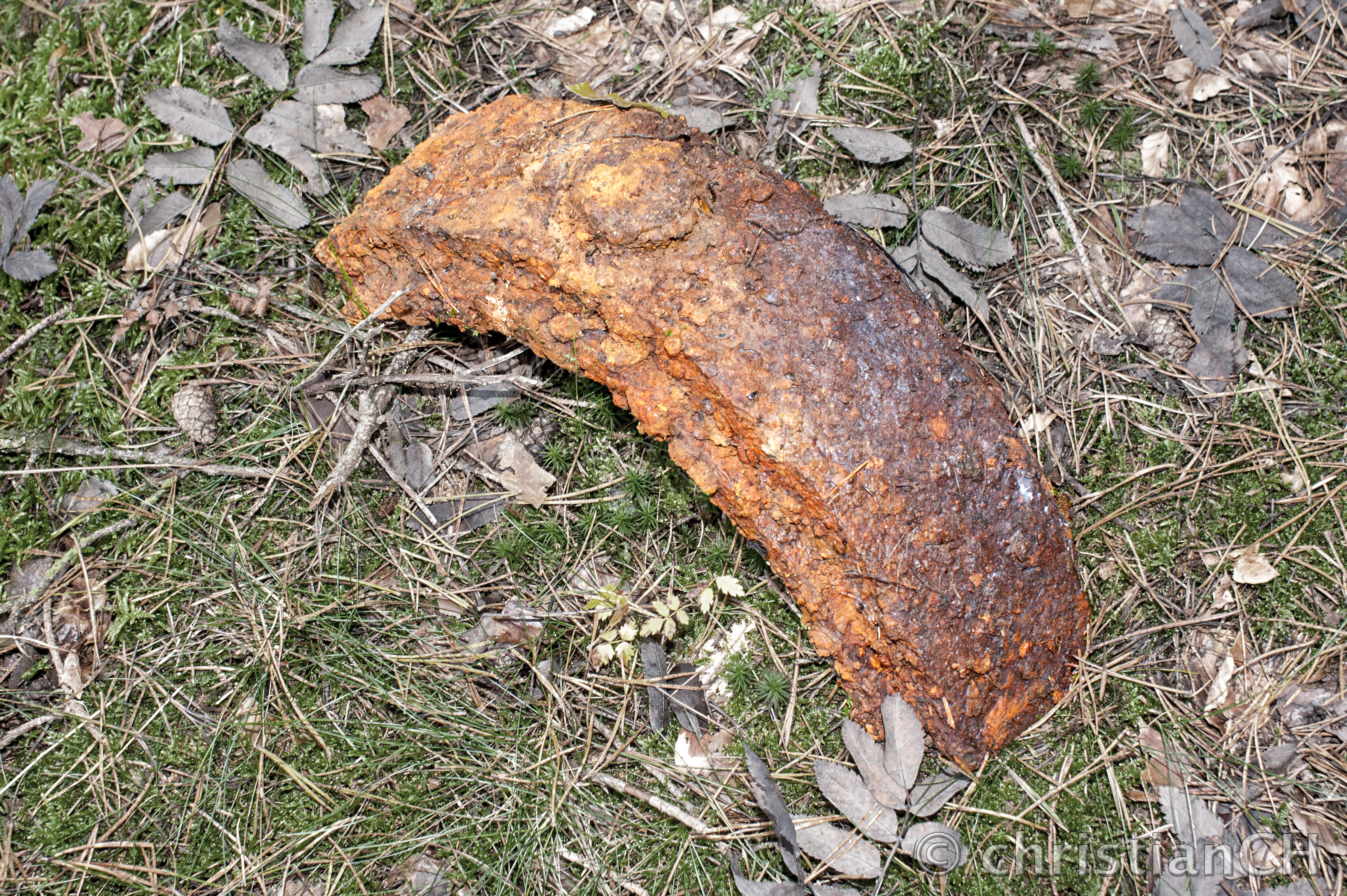 Dampferzeuger, Bajonettring