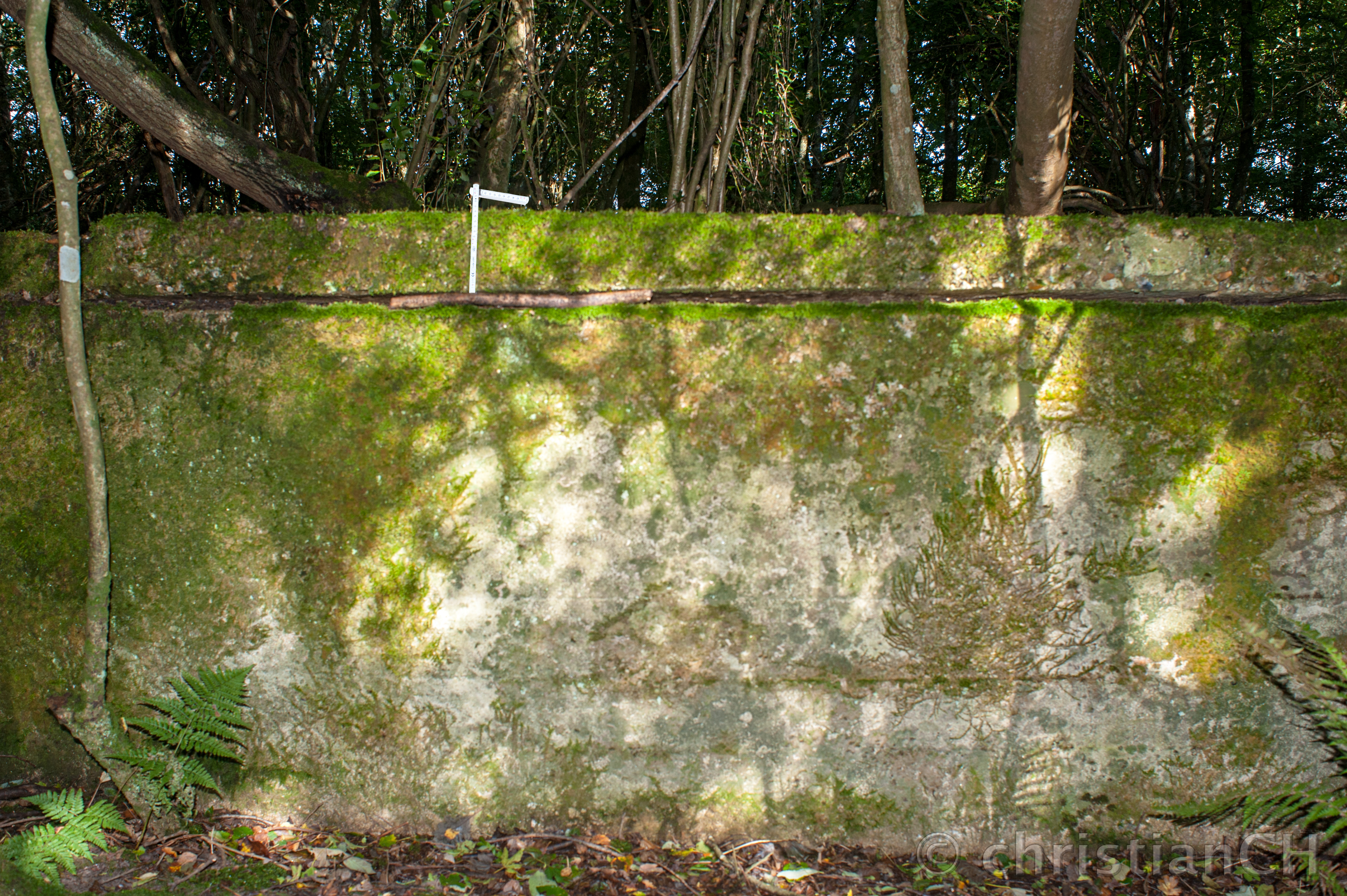 V1-FSt Wasserwerk B8, Couville