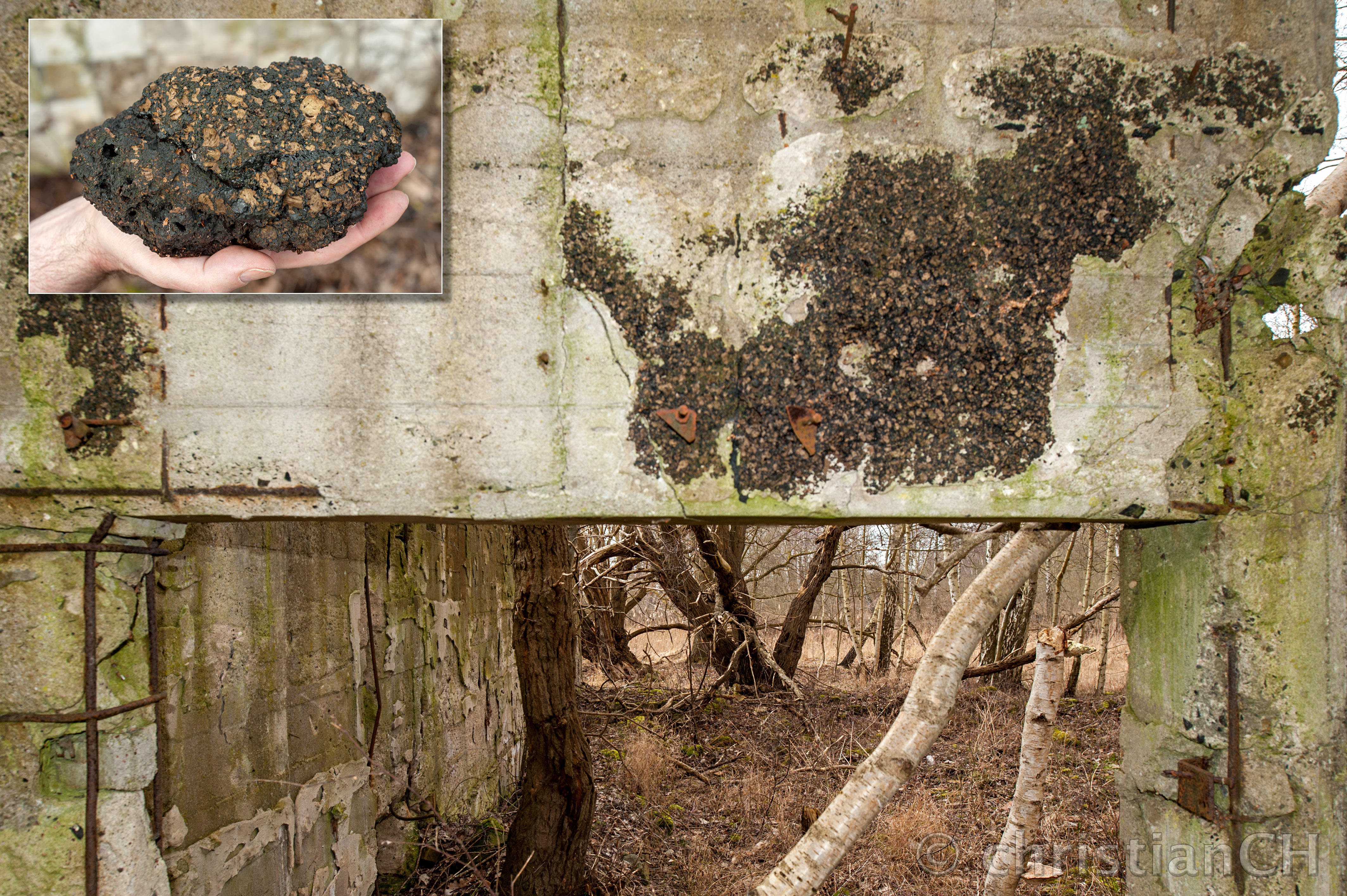 Vorwerk, Kältekammer