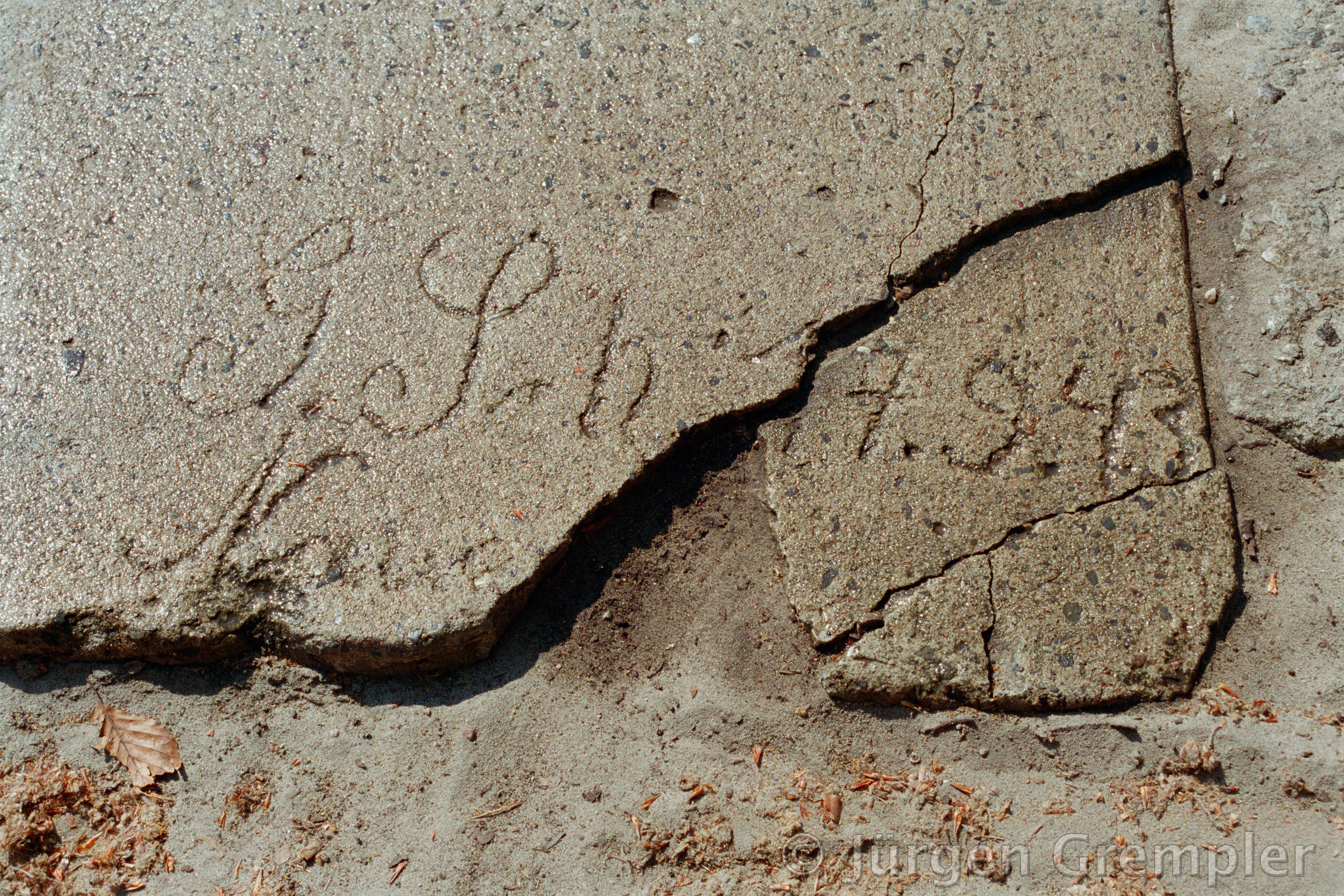 V1-Feldstellungen, Zempin