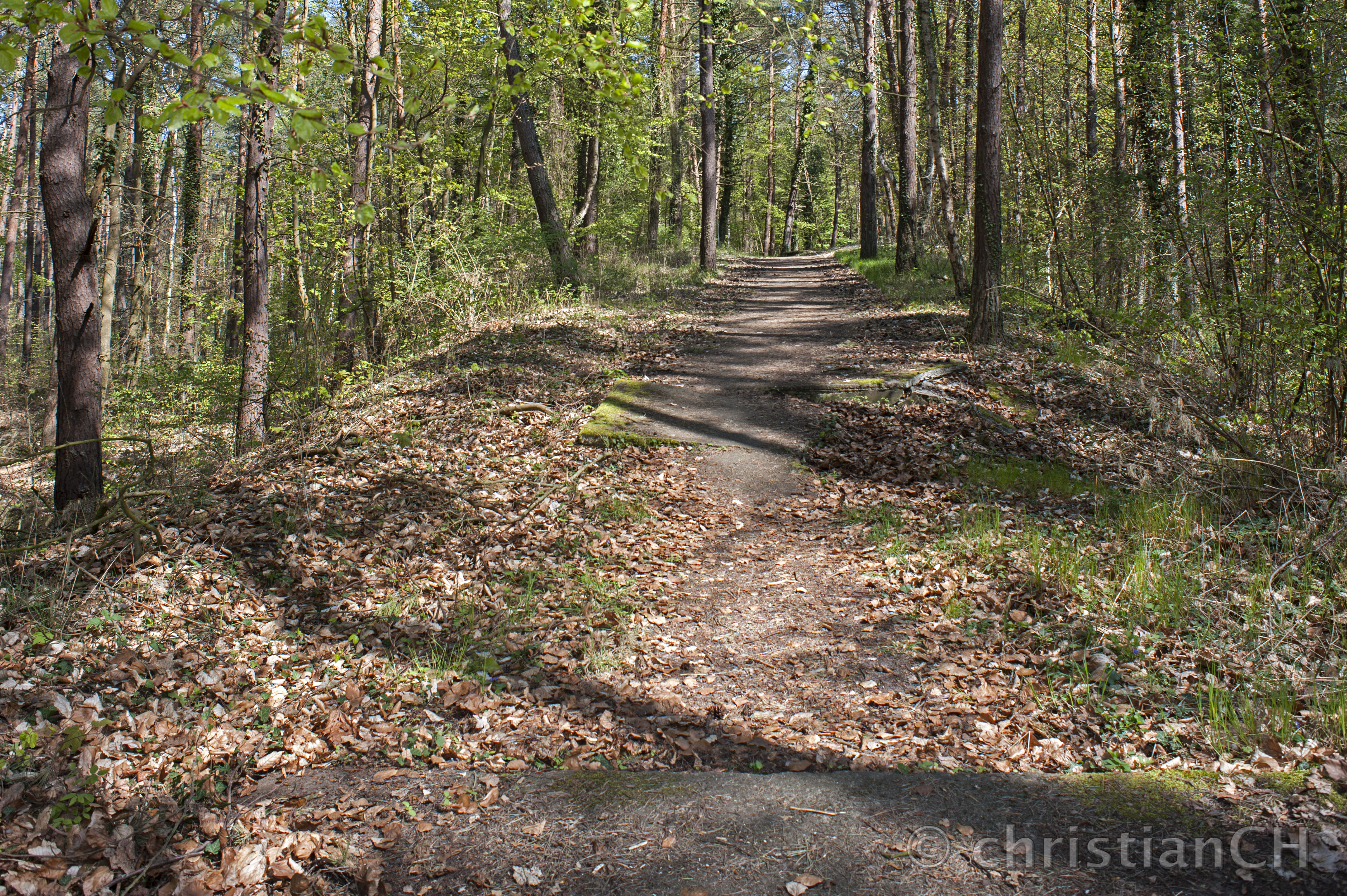 V1-Feldstellung II, Zempin