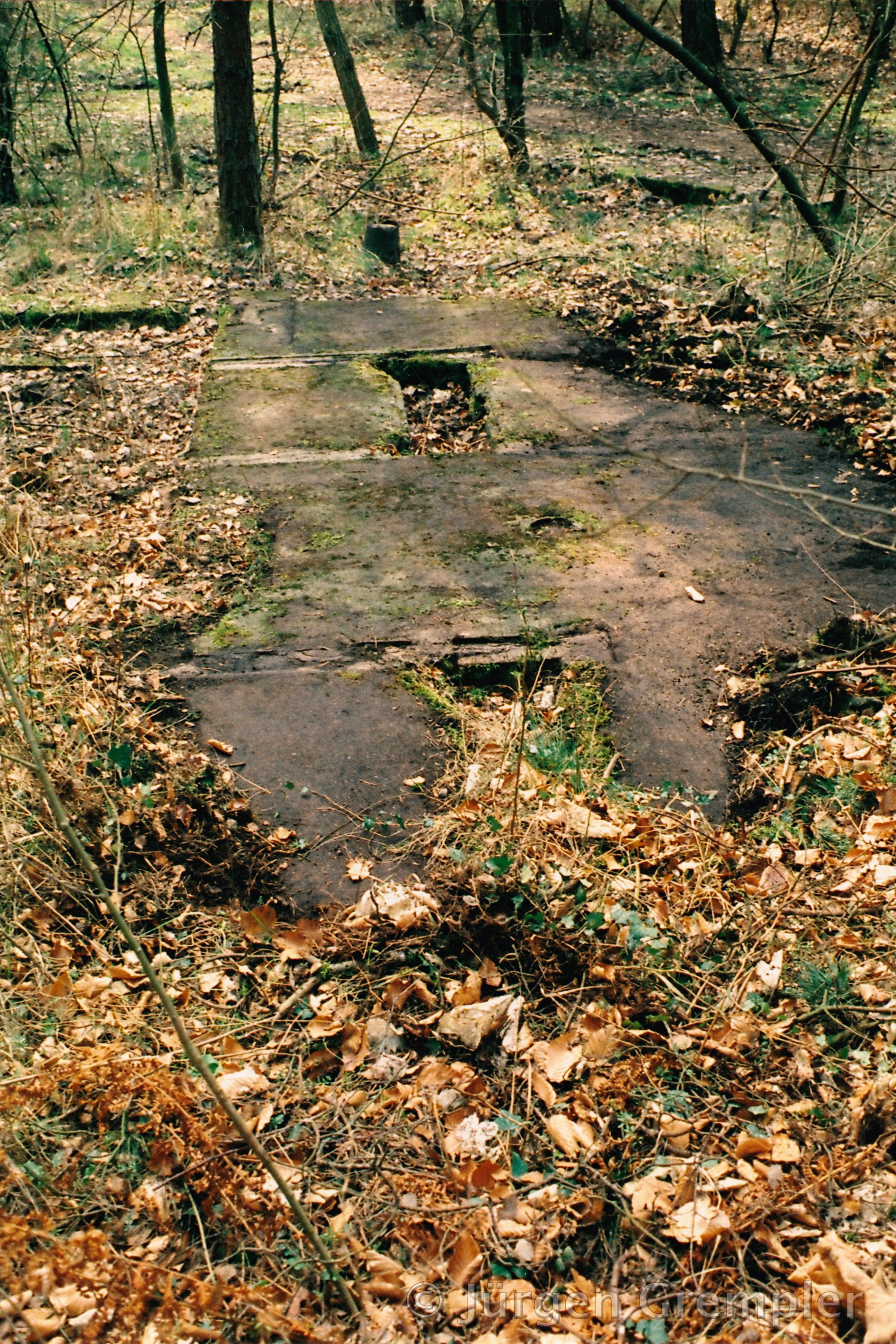 V1-Feldstellung II, Zempin