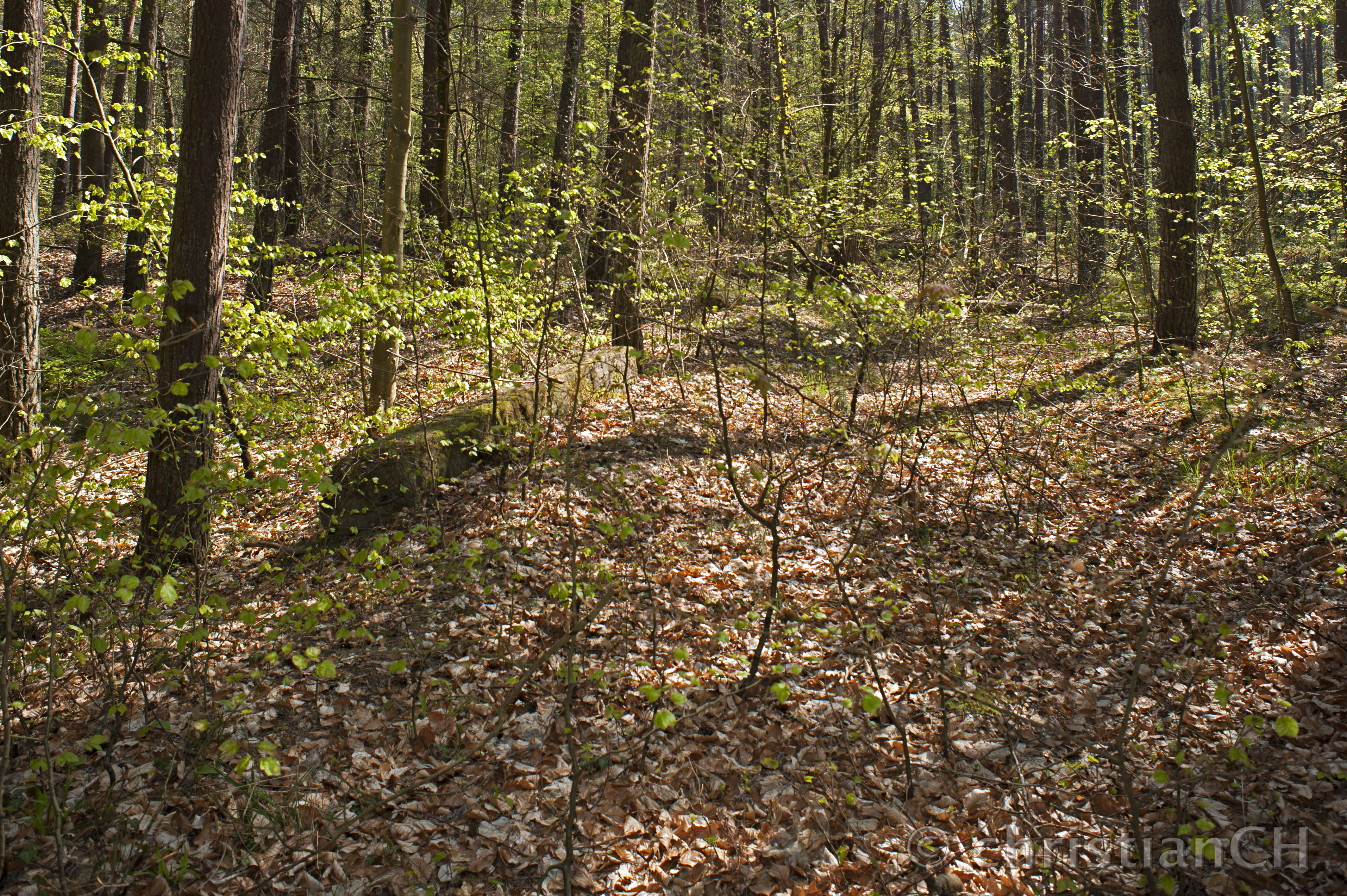 V1-Feldstellung II, Zempin