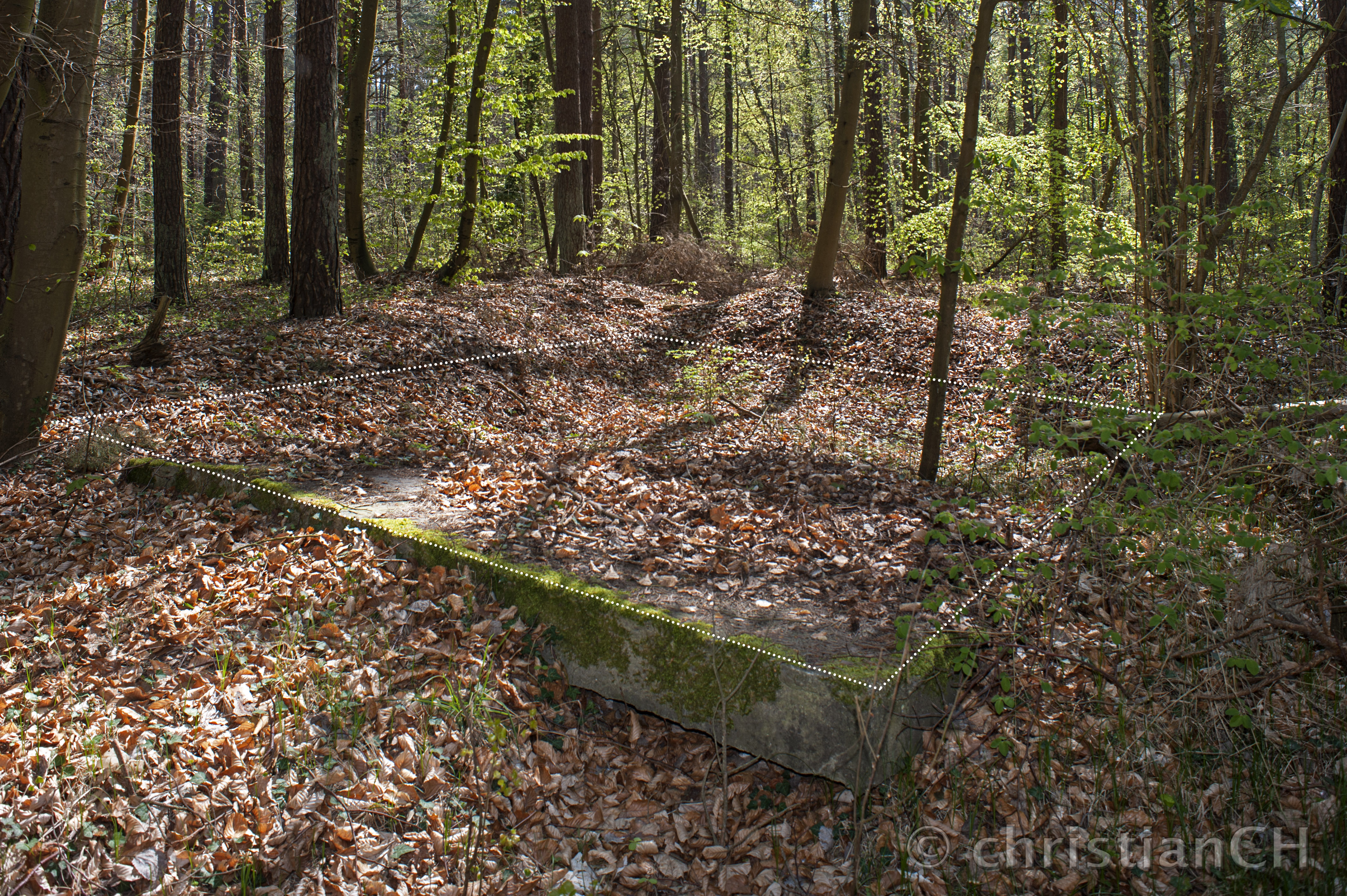 V1-Feldstellung II, Zempin