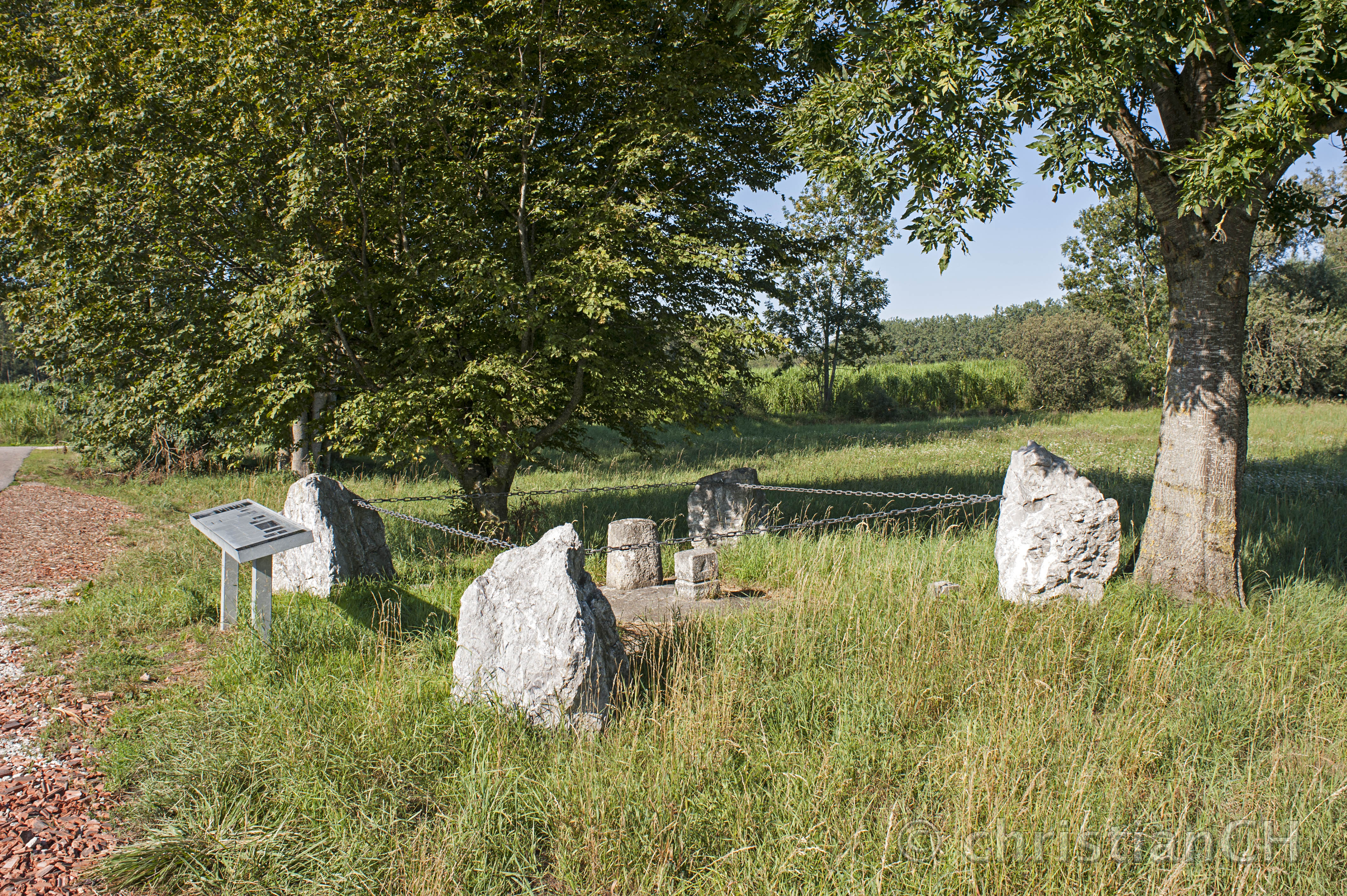 Basislinie im Grossen Moos