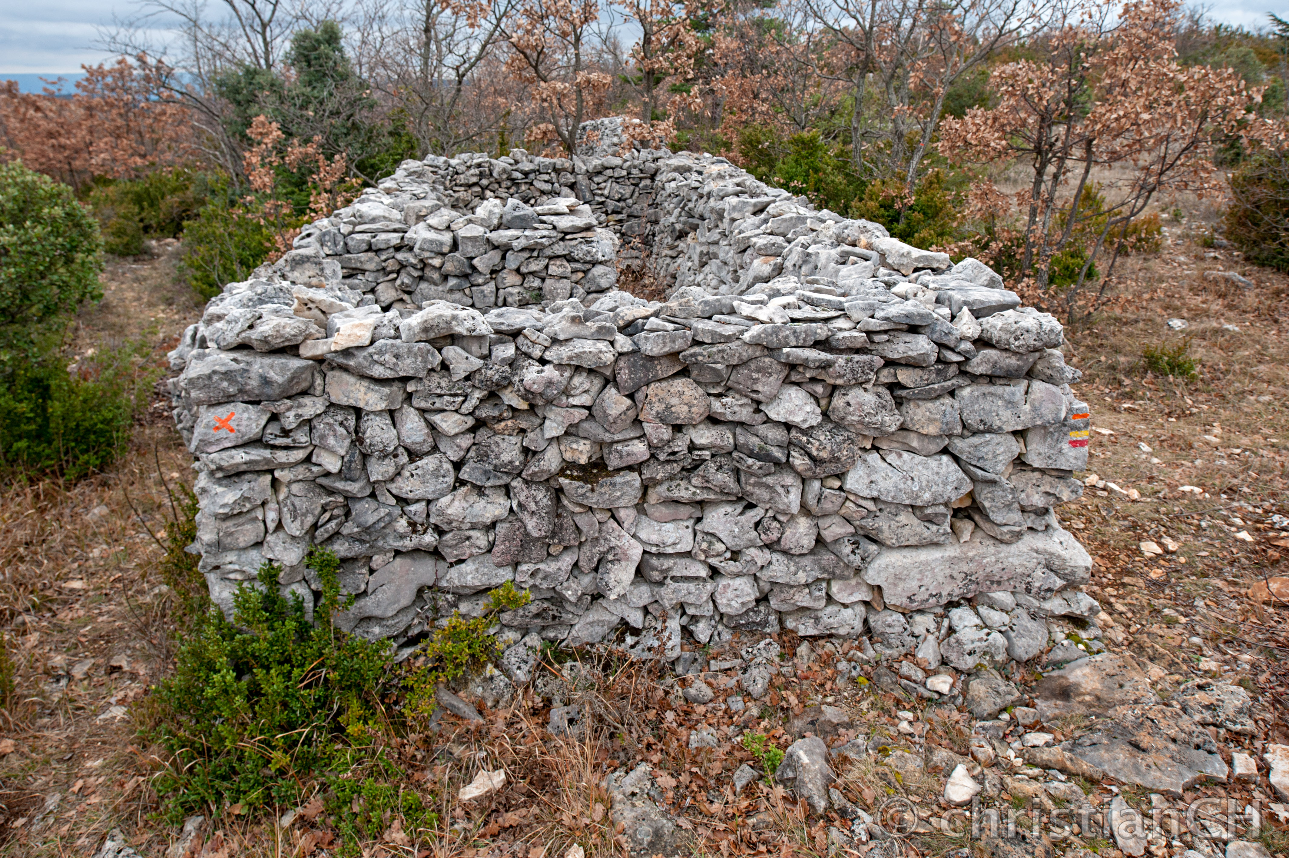 Pestmauer